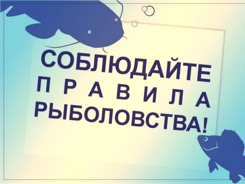 ОТВЕТСТВЕННОСТЬ ГРАЖДАН.