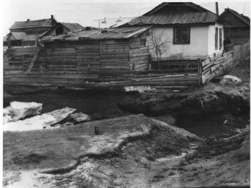Фотографии.